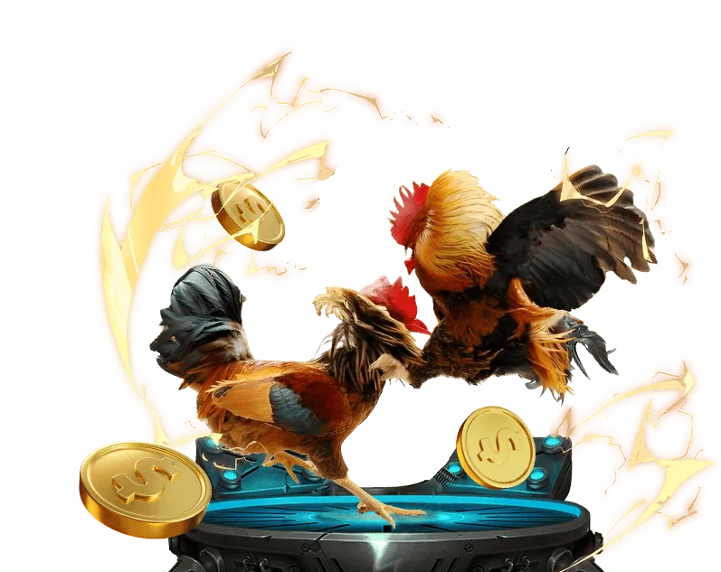 Kèo Meron trong cá cược chọi gà trên pg88 app